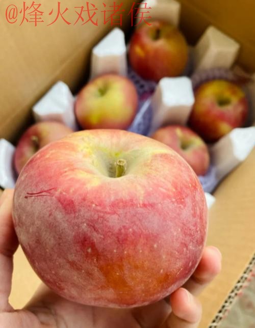 世界杯盘口苹果全站